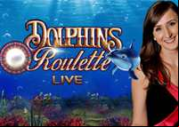 dolphin roulette