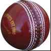 cricket 6